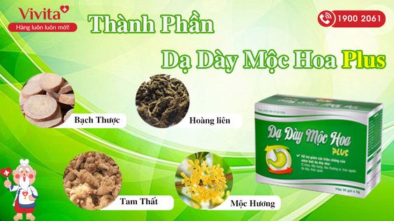 [HÉ LỘ] Dạ Dày Mộc Hoa Plus Có Tốt Không? Mua Ở Đâu Chính Hãng?
