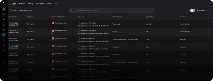 File access activity