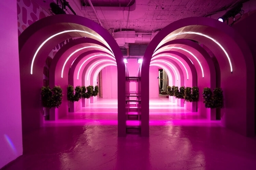 rose mansion-pop-up-design-event-designer-2