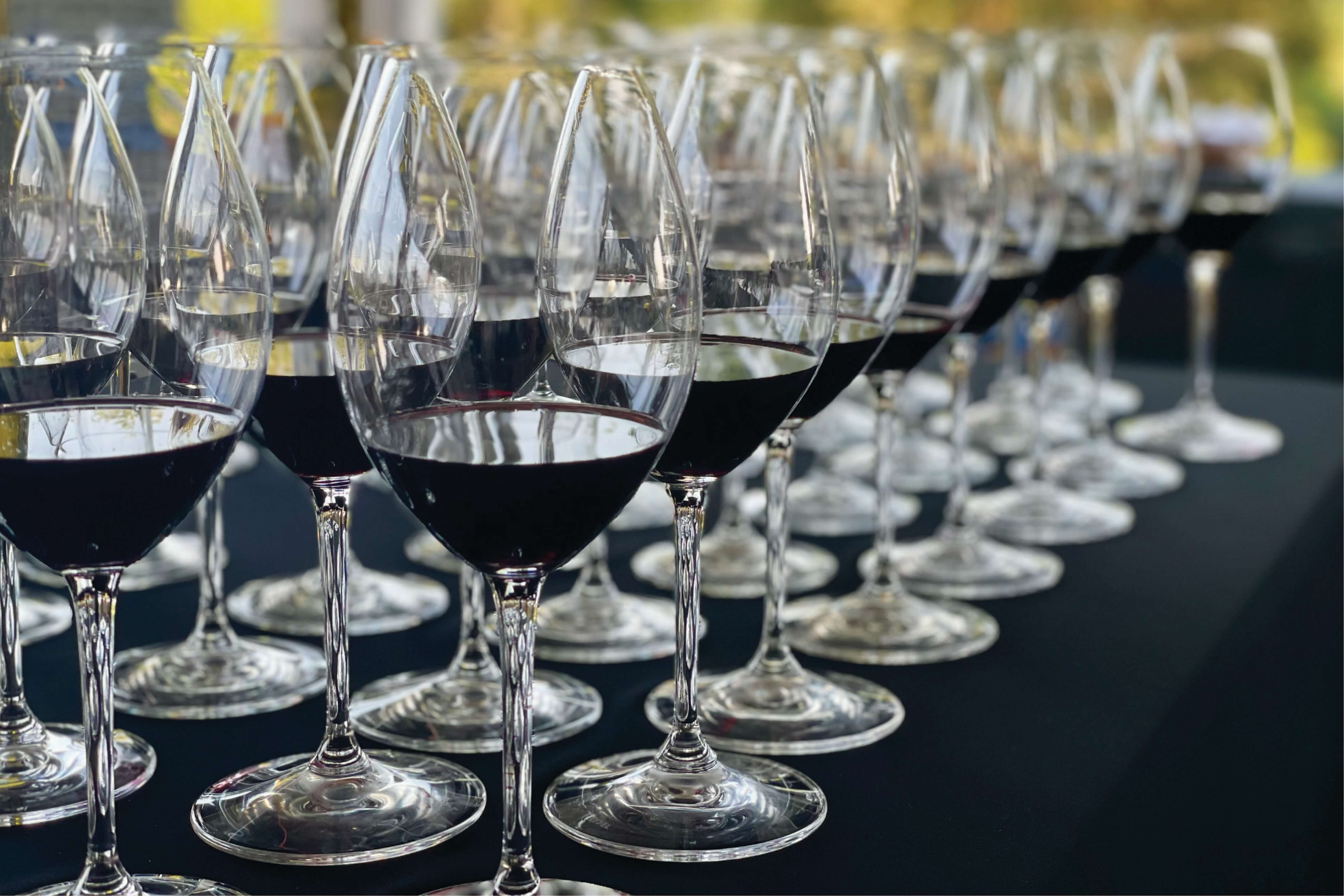 Norton Horizontal Tasting