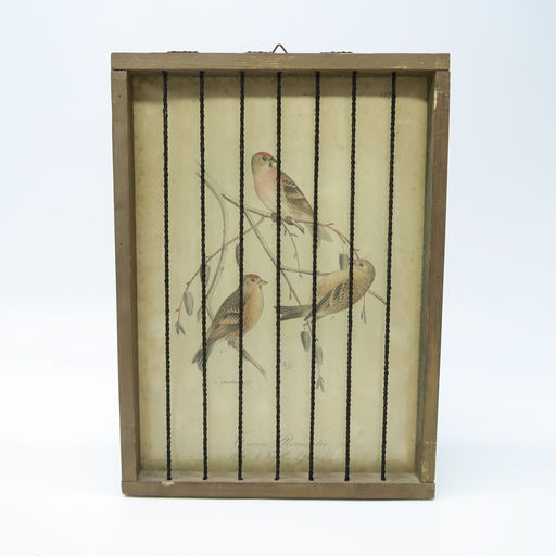 cadre en bois cage à oiseaux tarins 