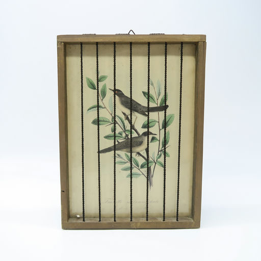 cadre en bois cage à oiseaux fauvette 