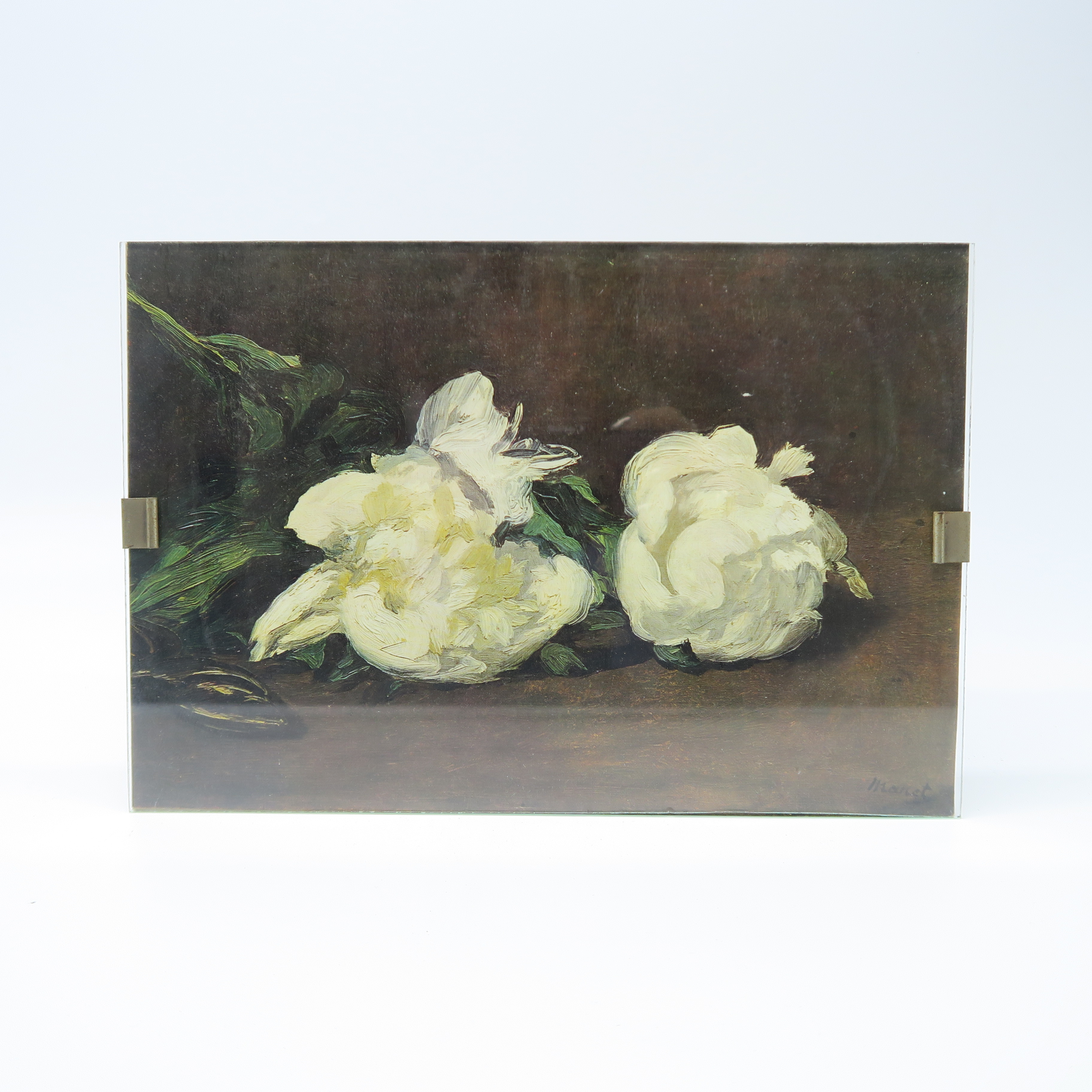 cadre avec impression des pivoines blanches de manet 