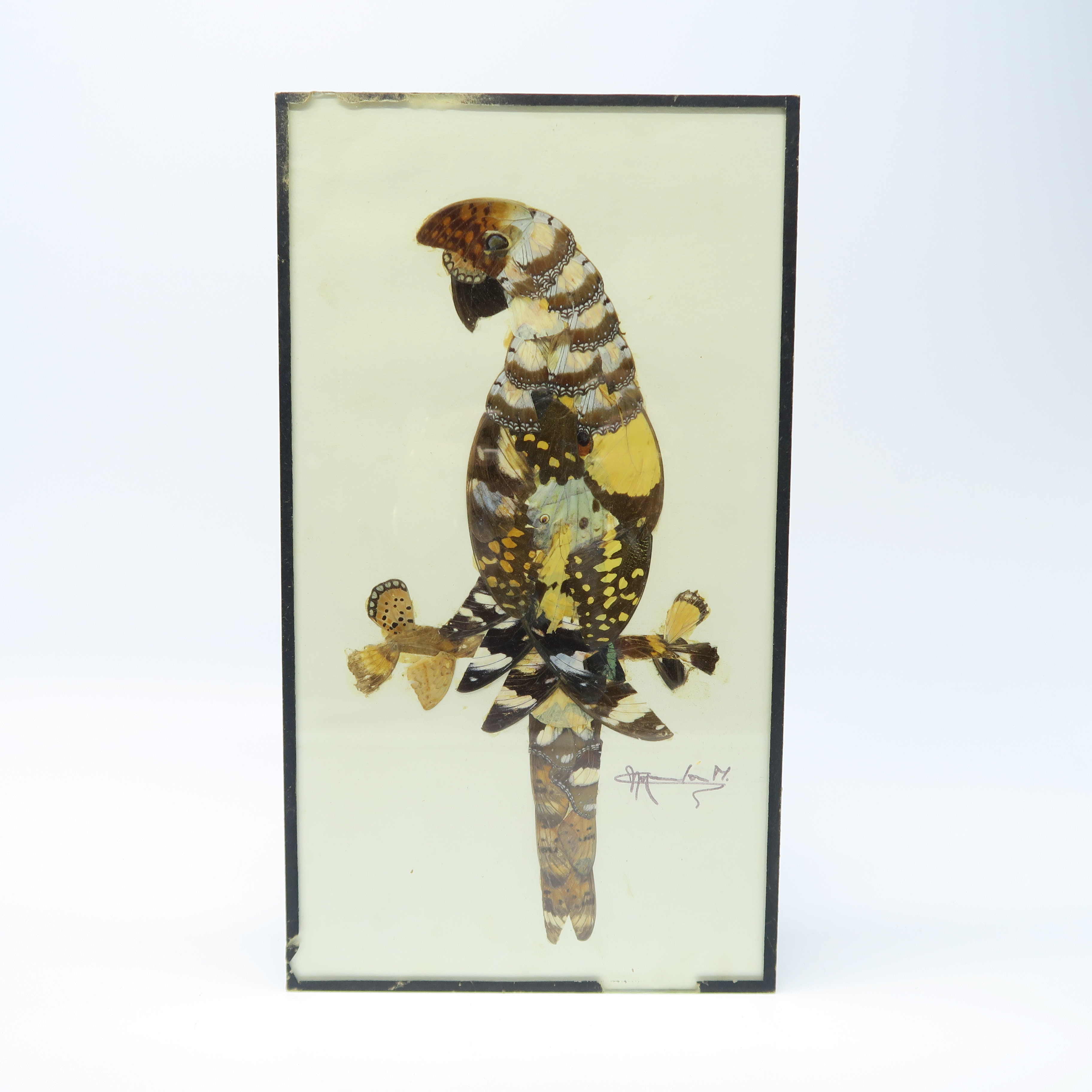 cadre avec perroquet en ailes de papillon 