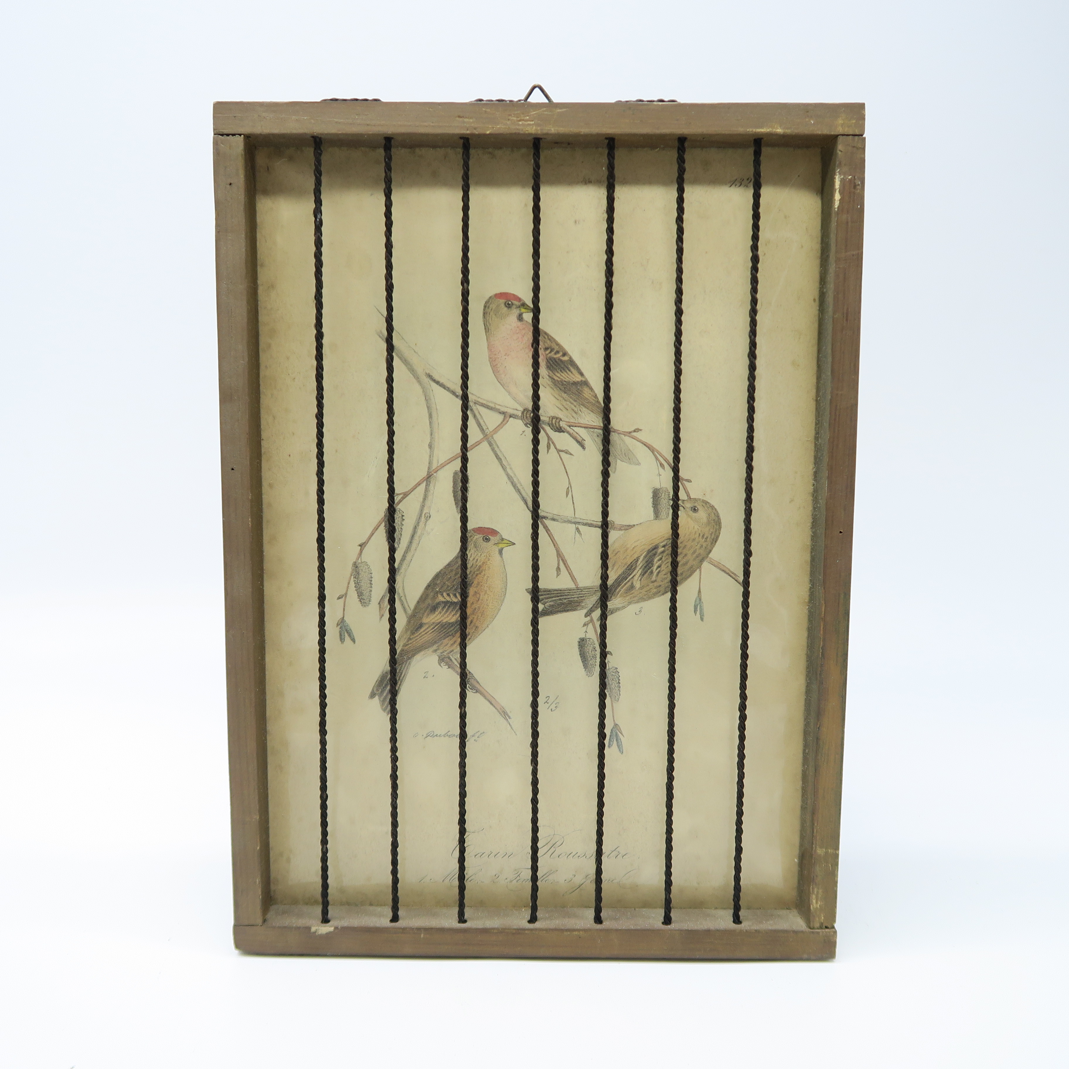 cadre en bois cage à oiseaux tarins 