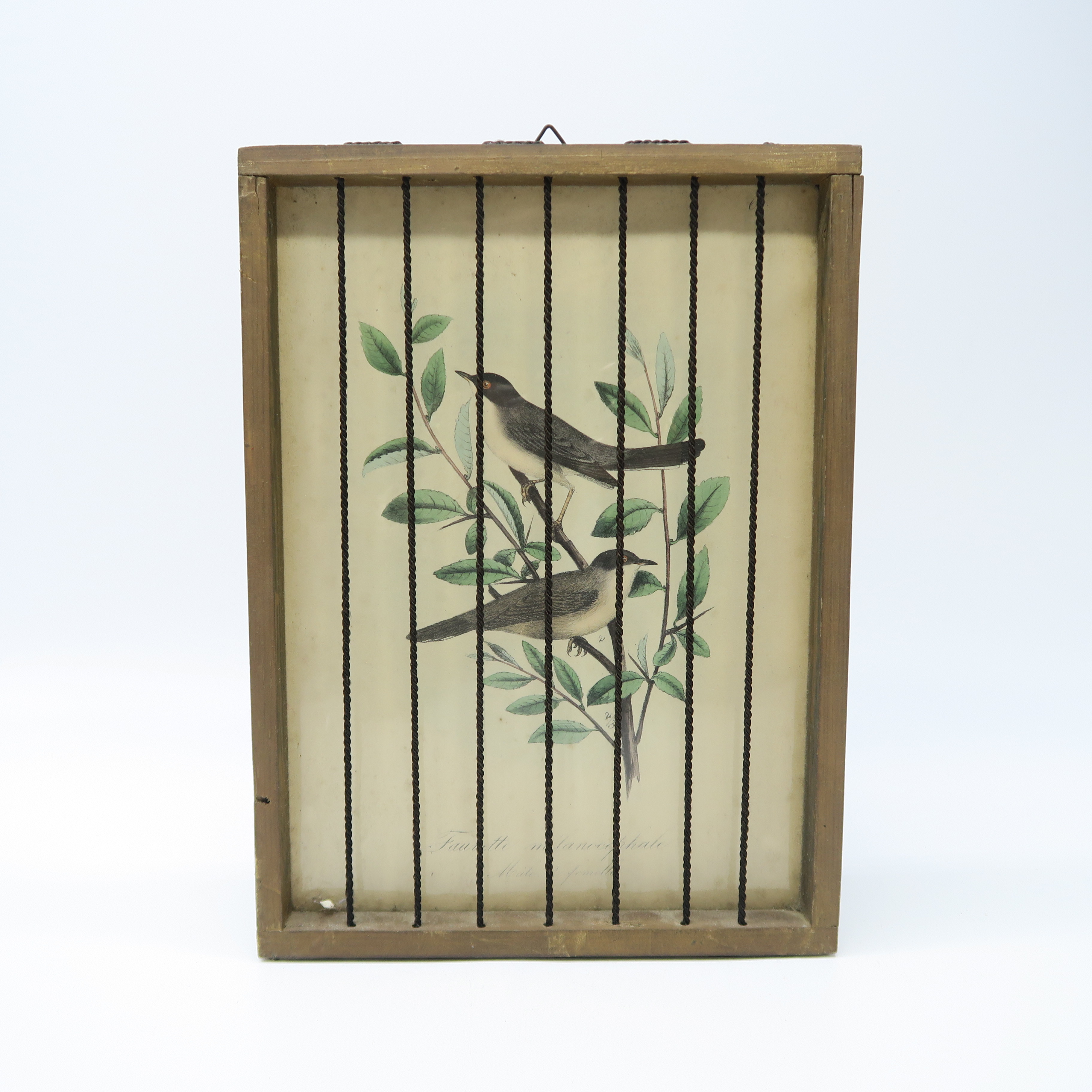 cadre en bois cage à oiseaux fauvette 