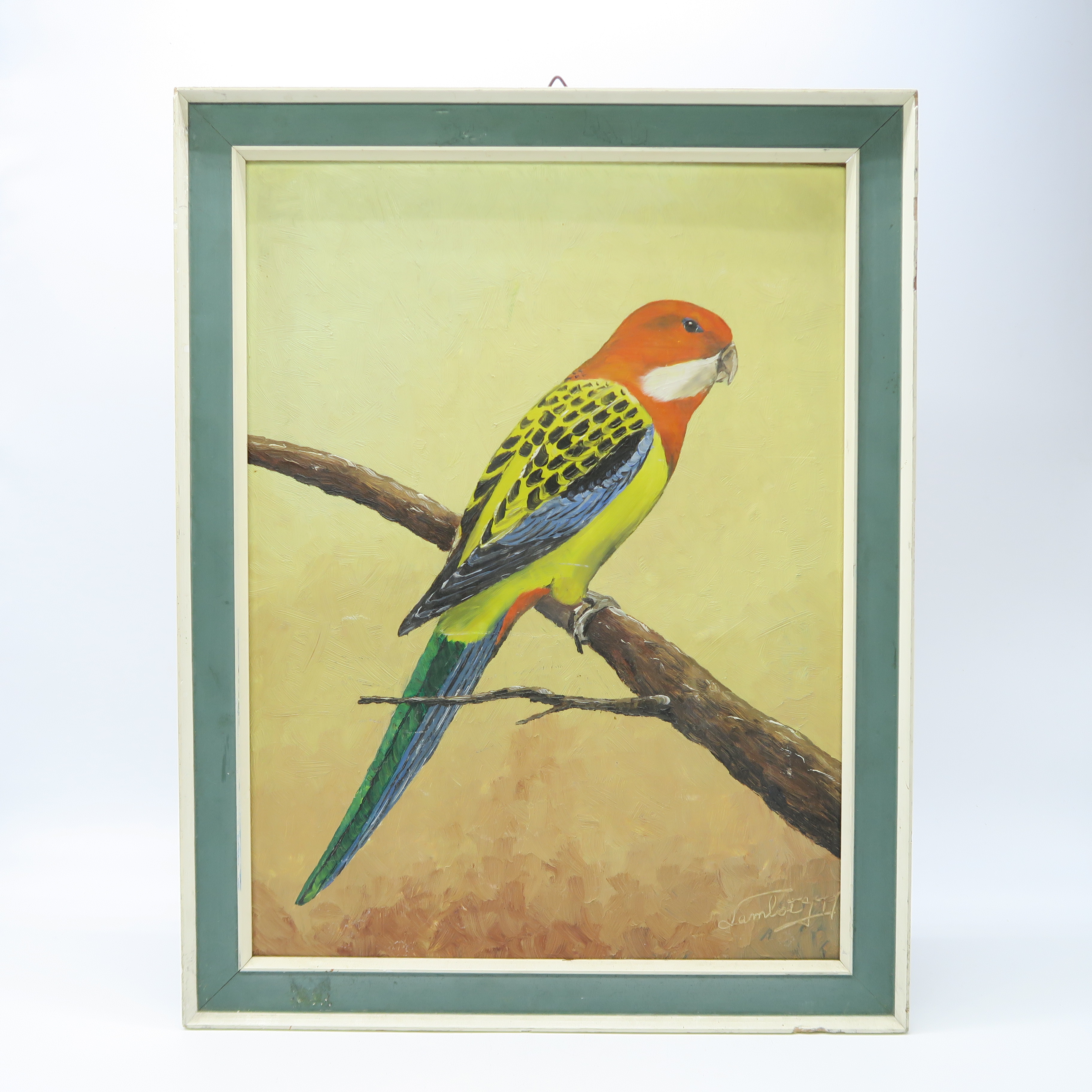 cadre avec peinture d'un perroquet 