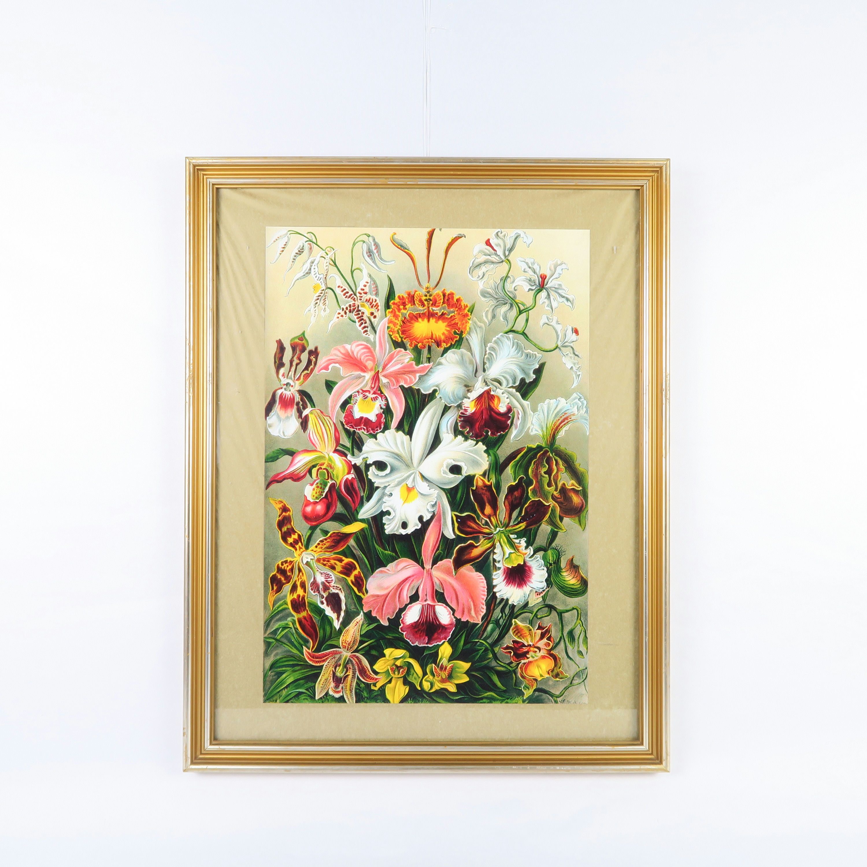 cadre doré et fleurs colorées