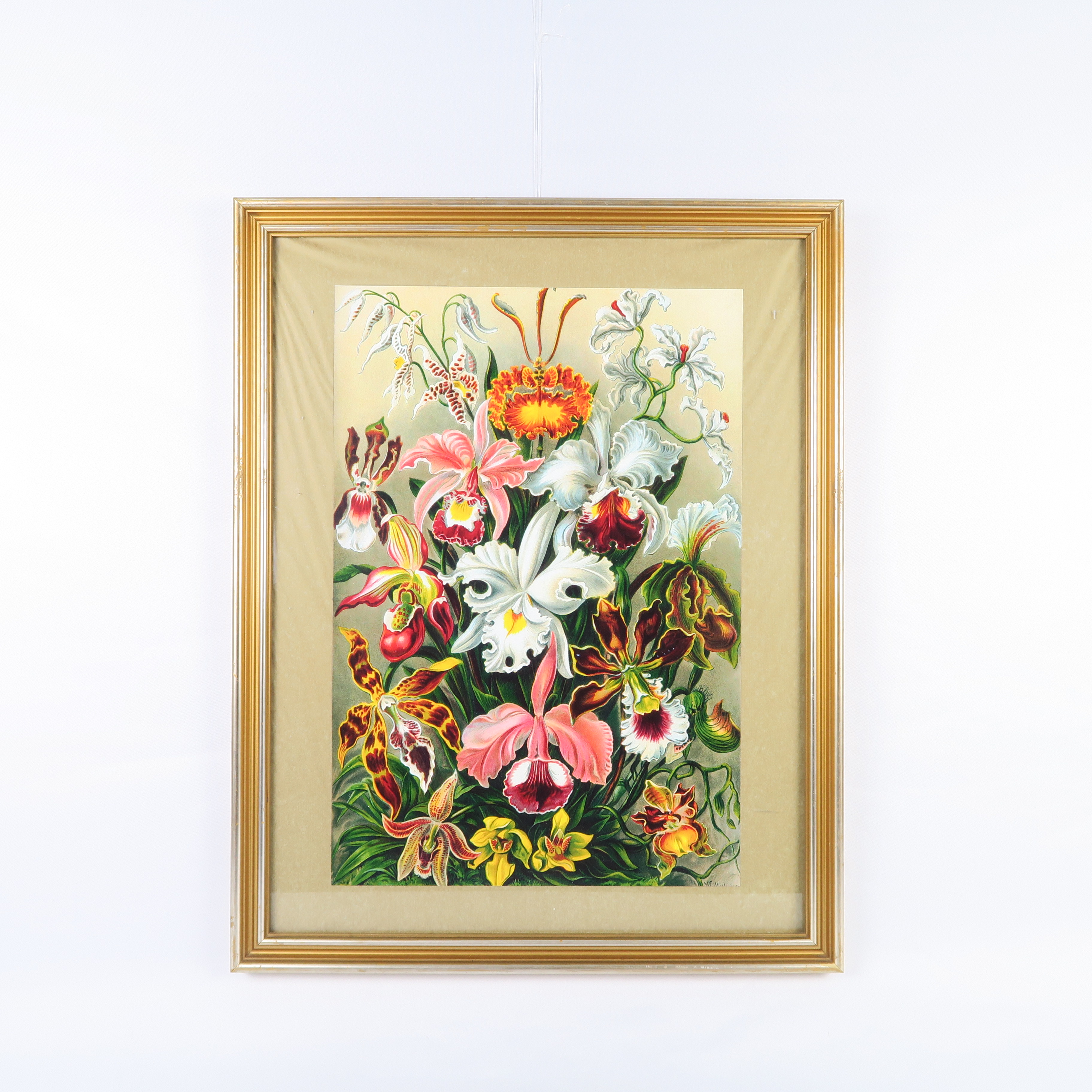 cadre doré et fleurs colorées
