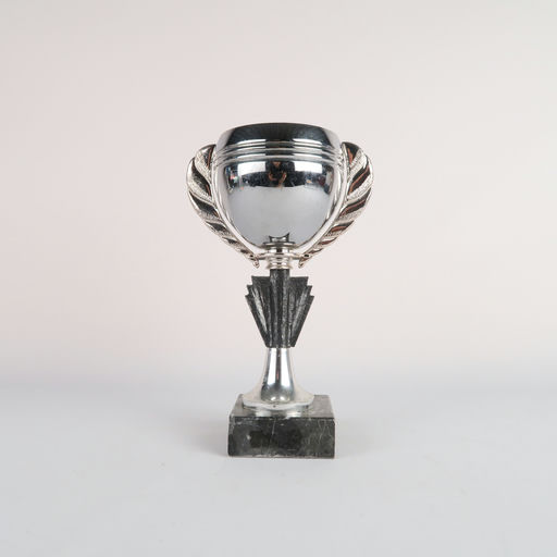 coupe argentée et socle en marbre gris
