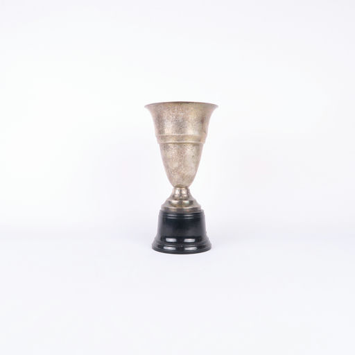 coupe argentée et socle noir 