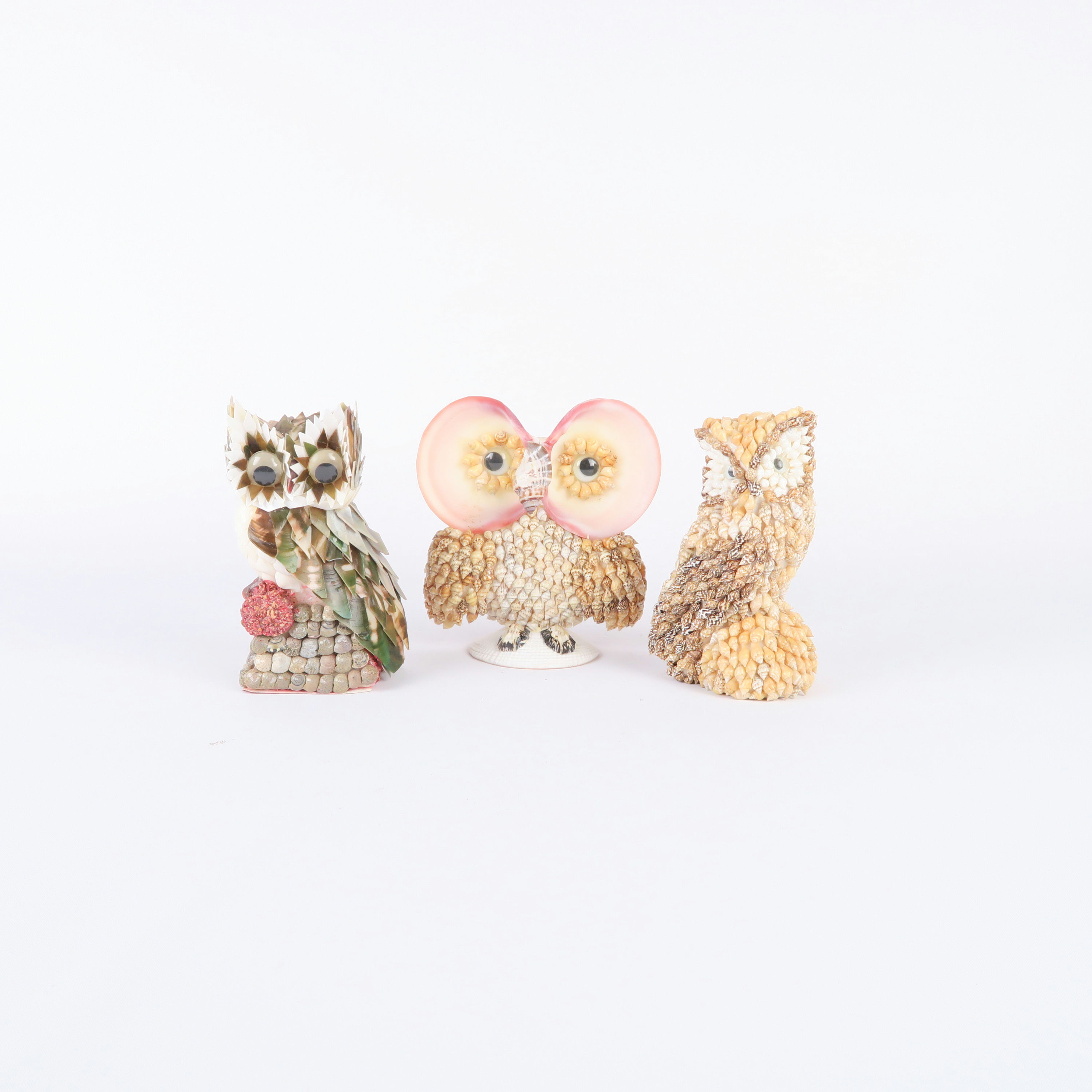collection de hiboux en coquillage (divers)