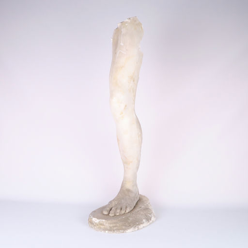 jambe gauche en plâtre 