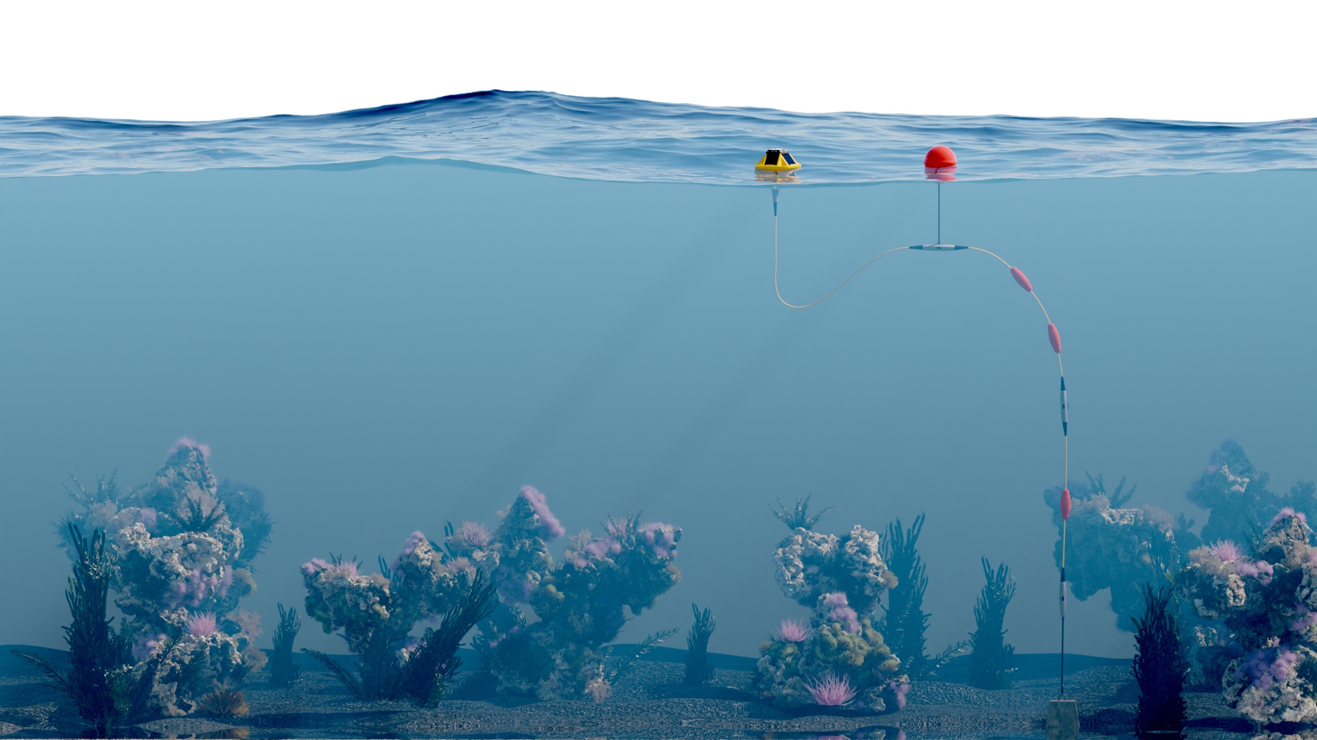 Render of Spotter buoys on the ocean surface, moored to the seabed, in an underwater cutaway