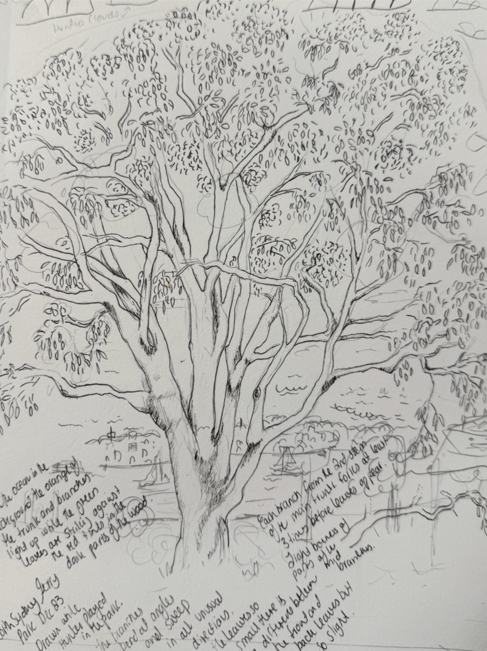 Tree by the Harbour