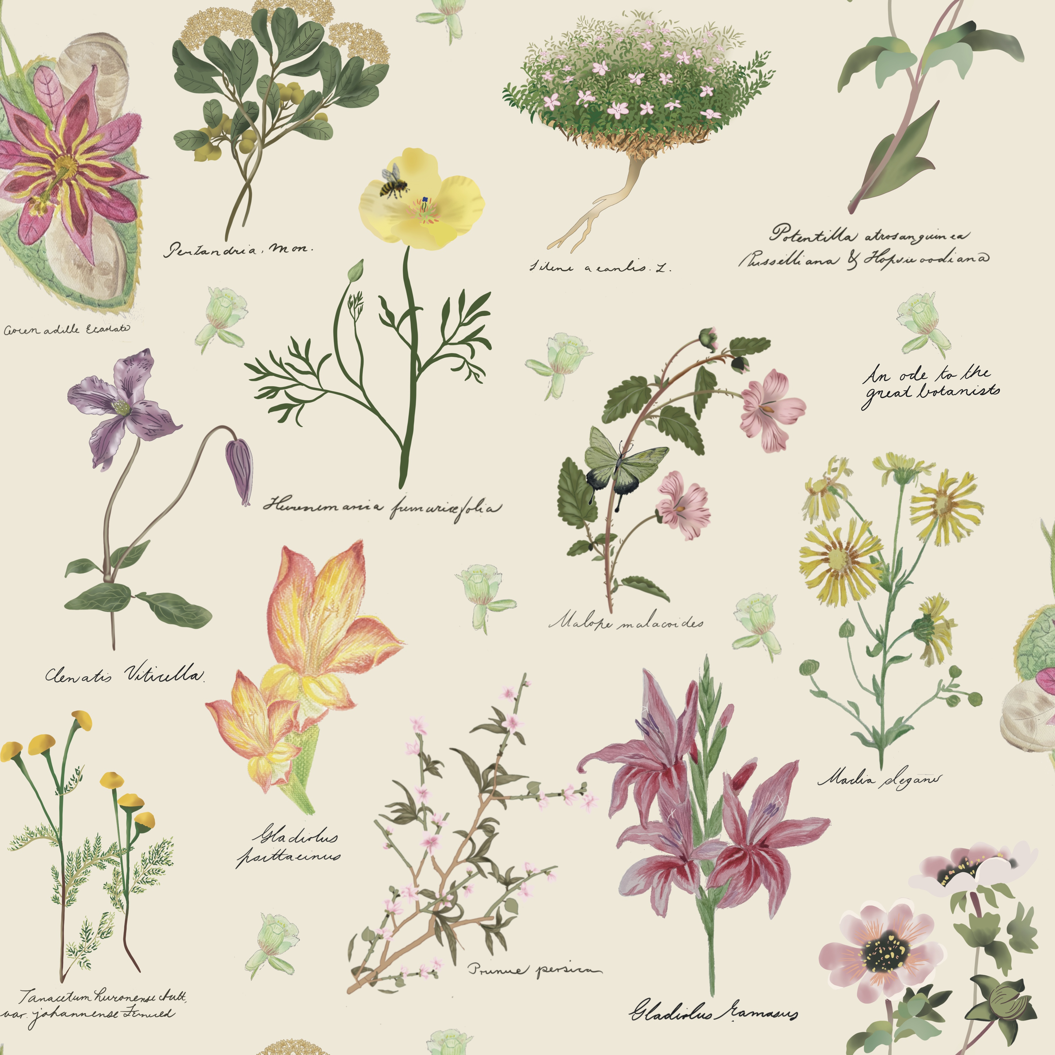 An Ode to the Great Botanists of the 19th century