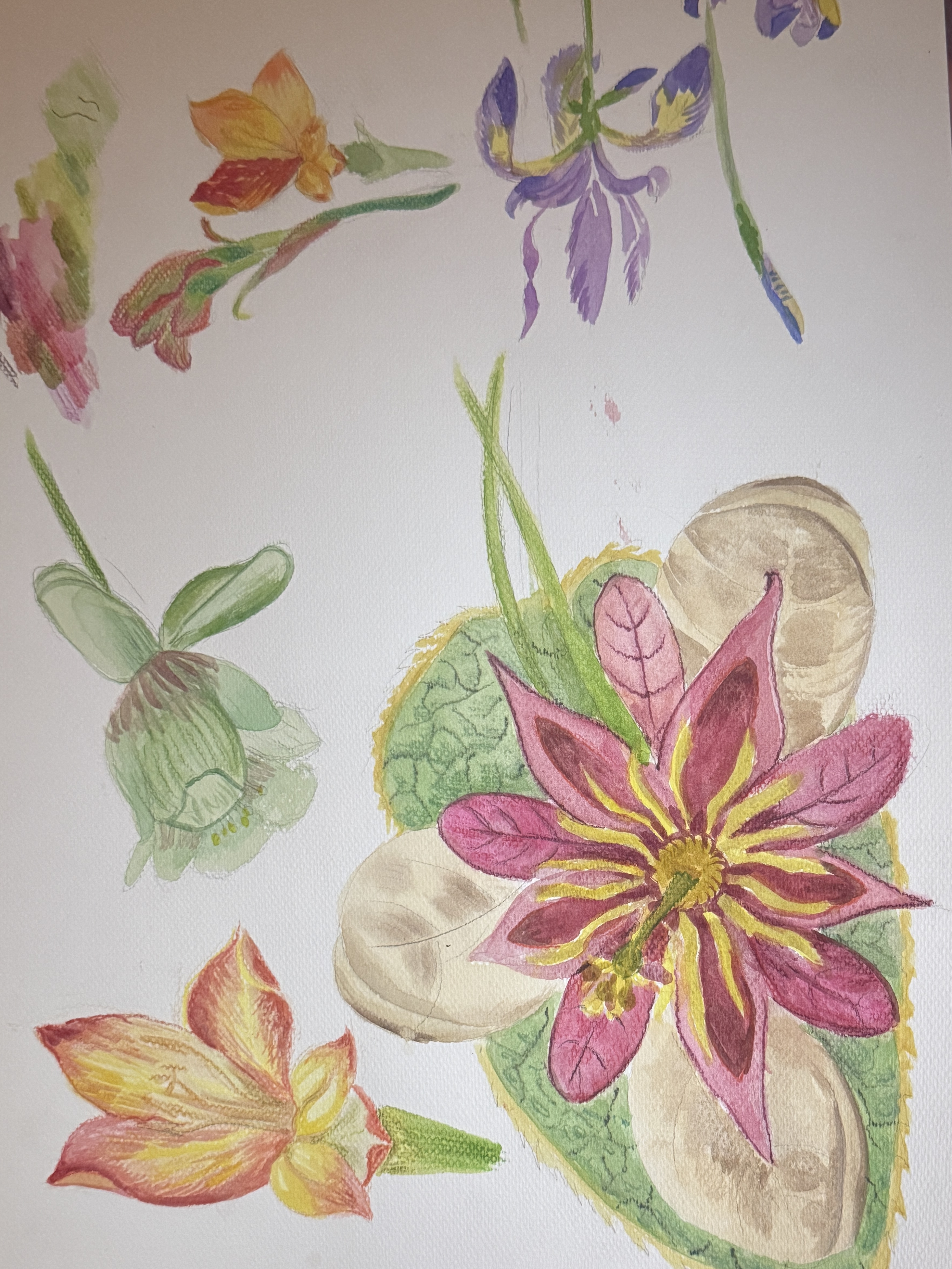 Ode to Botanists watercolour 3