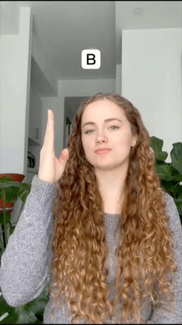 ASL handshape for the letter B