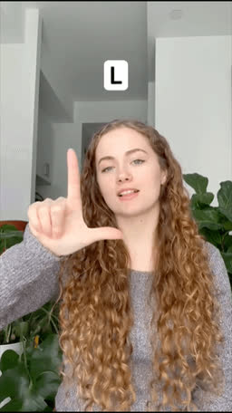 ASL handshape for the letter L