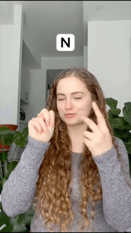 ASL handshape for the letter N