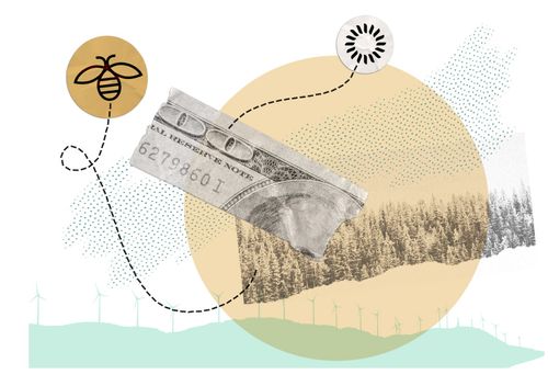 Pricing & Program Fees | The Change Climate Project