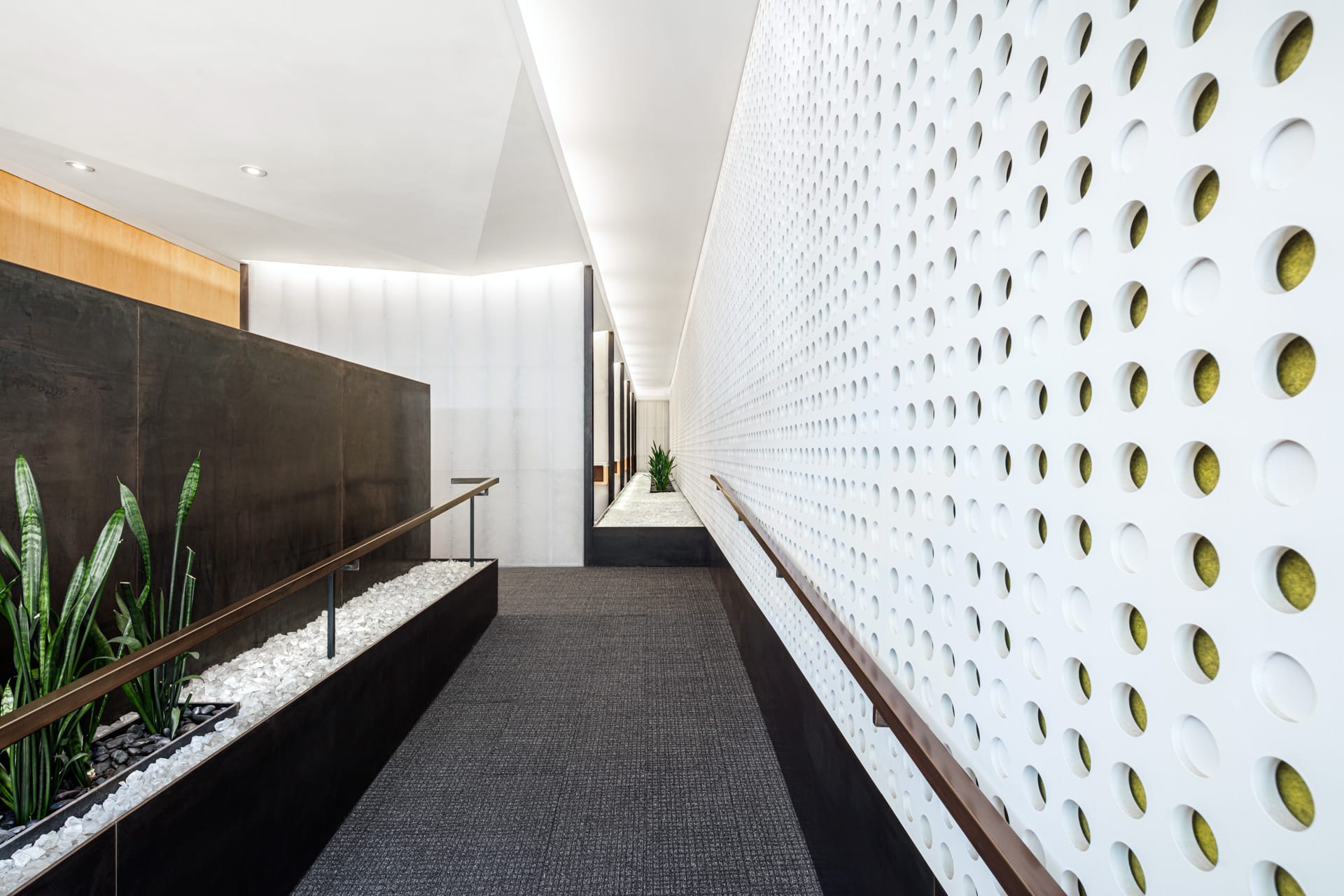 Washington Square Park Dental - Dentists in San Francisco