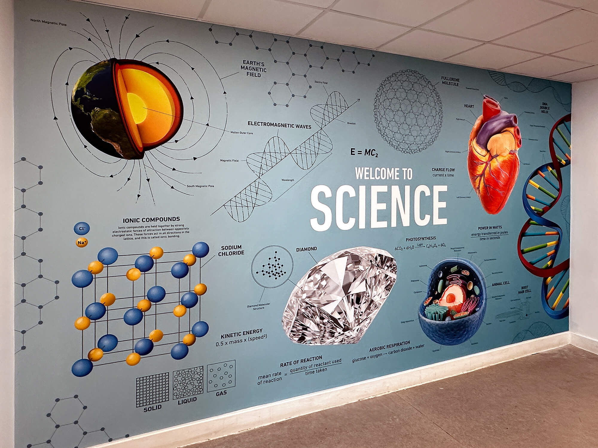 This striking artwork blends elements of physics, chemistry, and biology, seamlessly merging them into a dynamic and powerful science graphic. Starbank School has chosen this inviting design as the perfect way to welcome students into their science department.