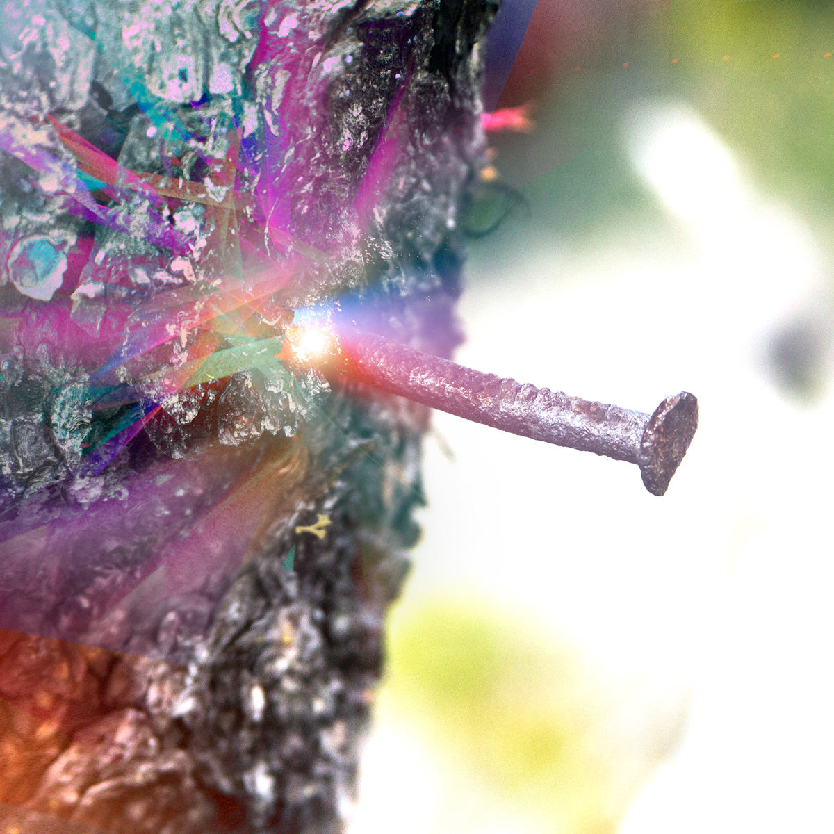 Nail in tree with color