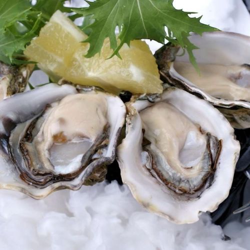A closeup image of oysters served with a slice of lemon