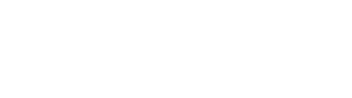 2020INC logo