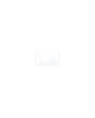 Content preview