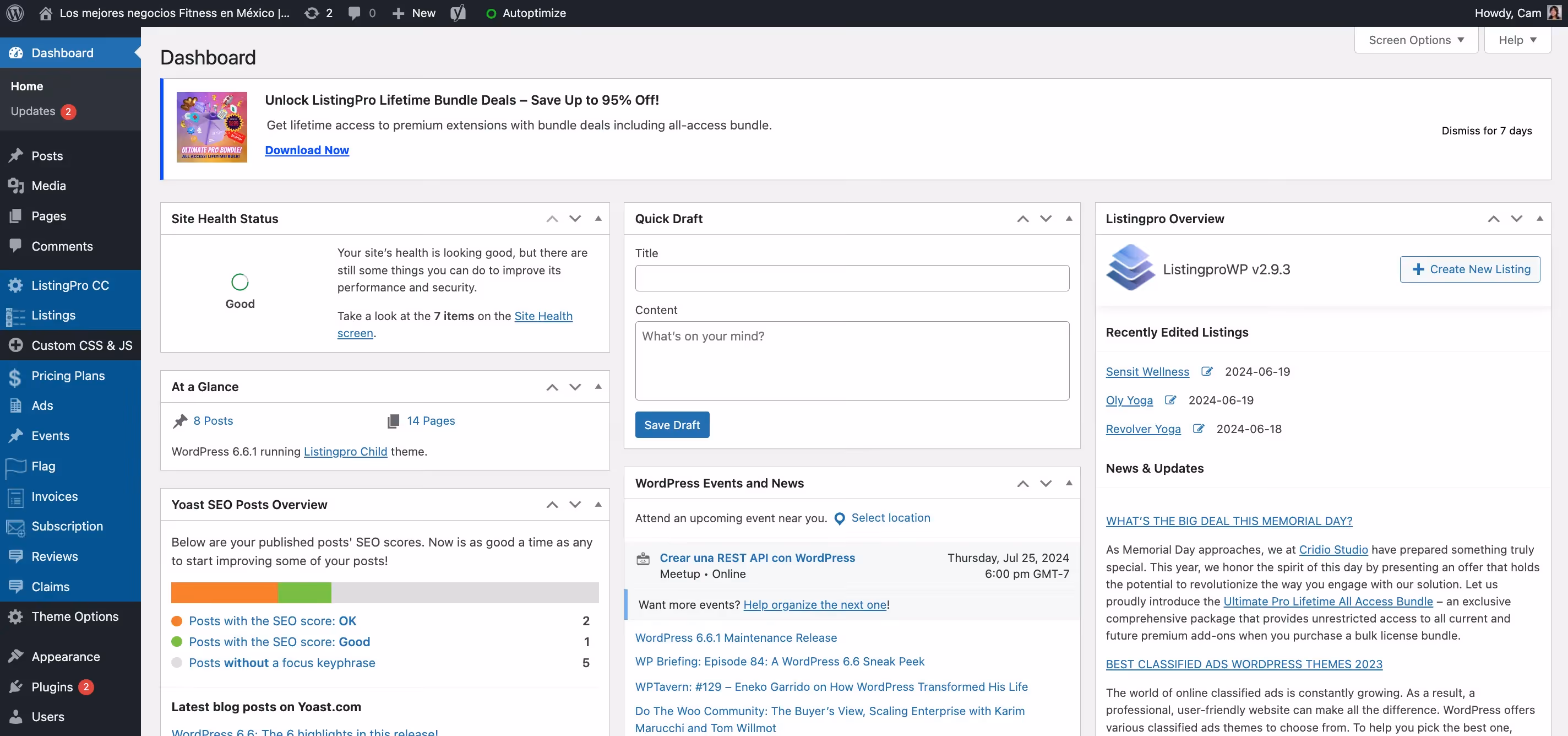 Wordpress a website builder with a cluttered interface full of text