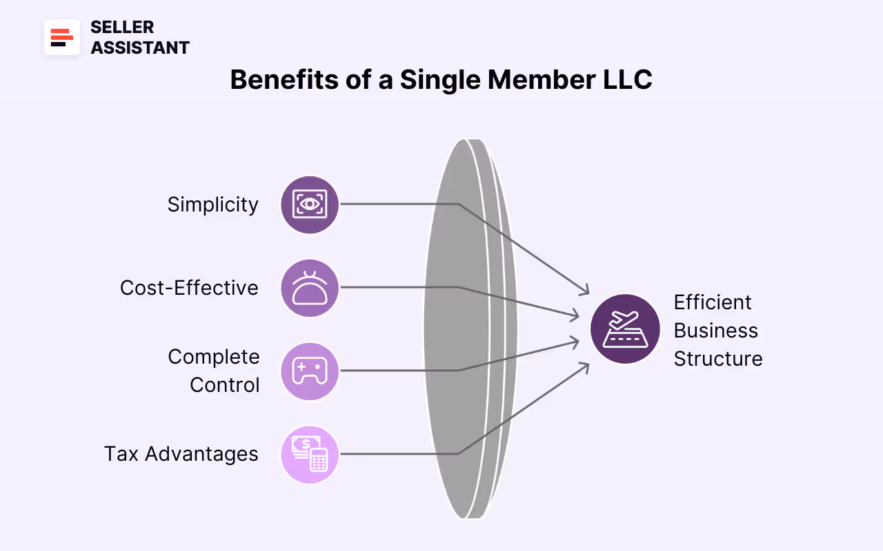 Why Choose a Single Member LLC?