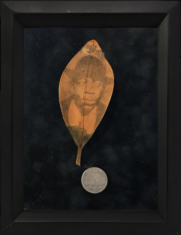 Migration, 2011