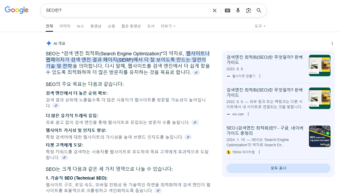 구글 SERP : AI 개요