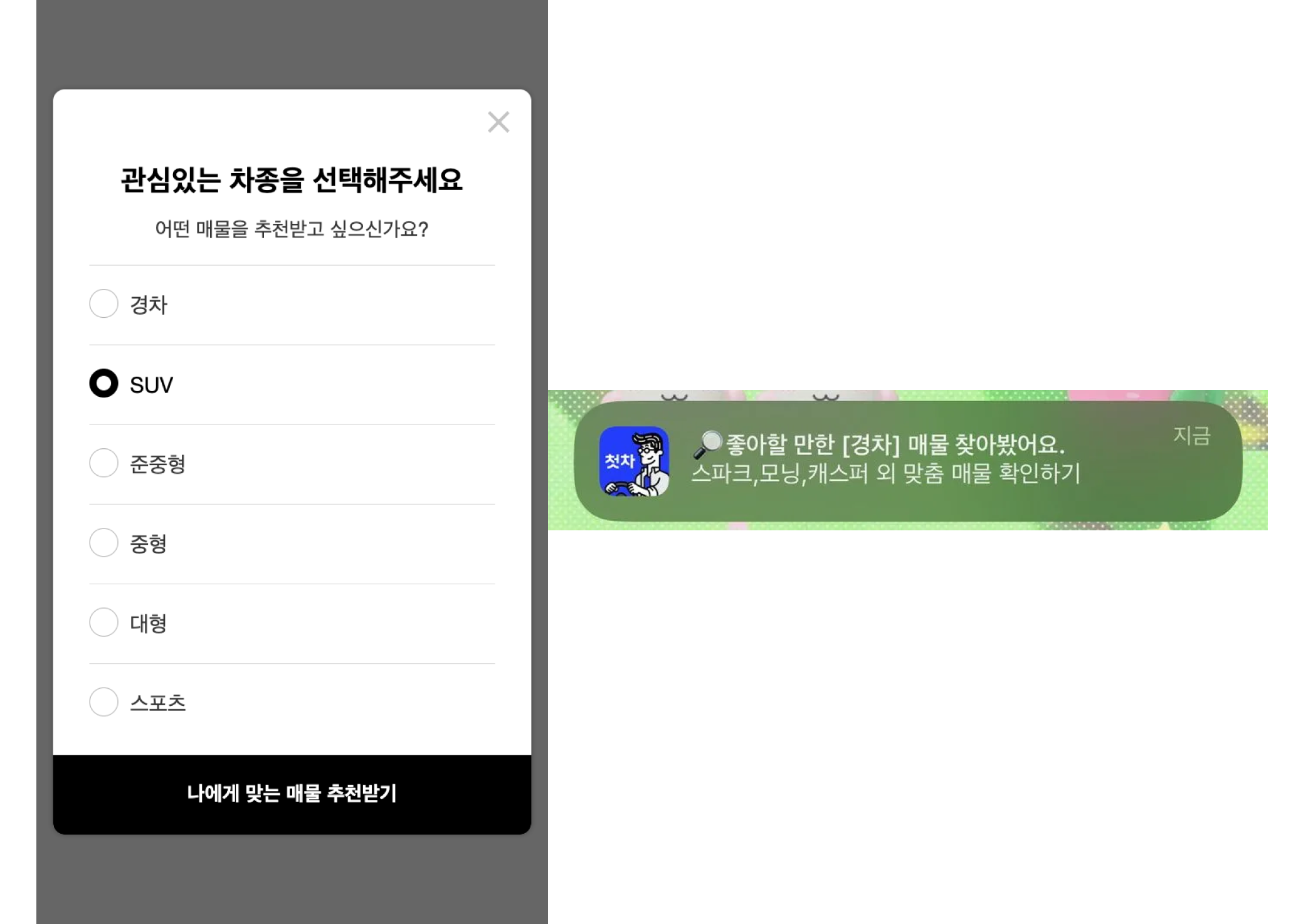 chutcha_Braze Simple Survey와 취향을 반영한 Push Campaign