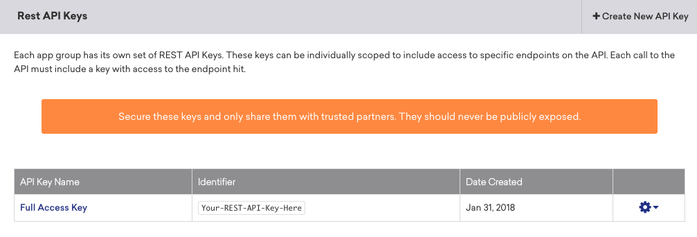 Rest API Key