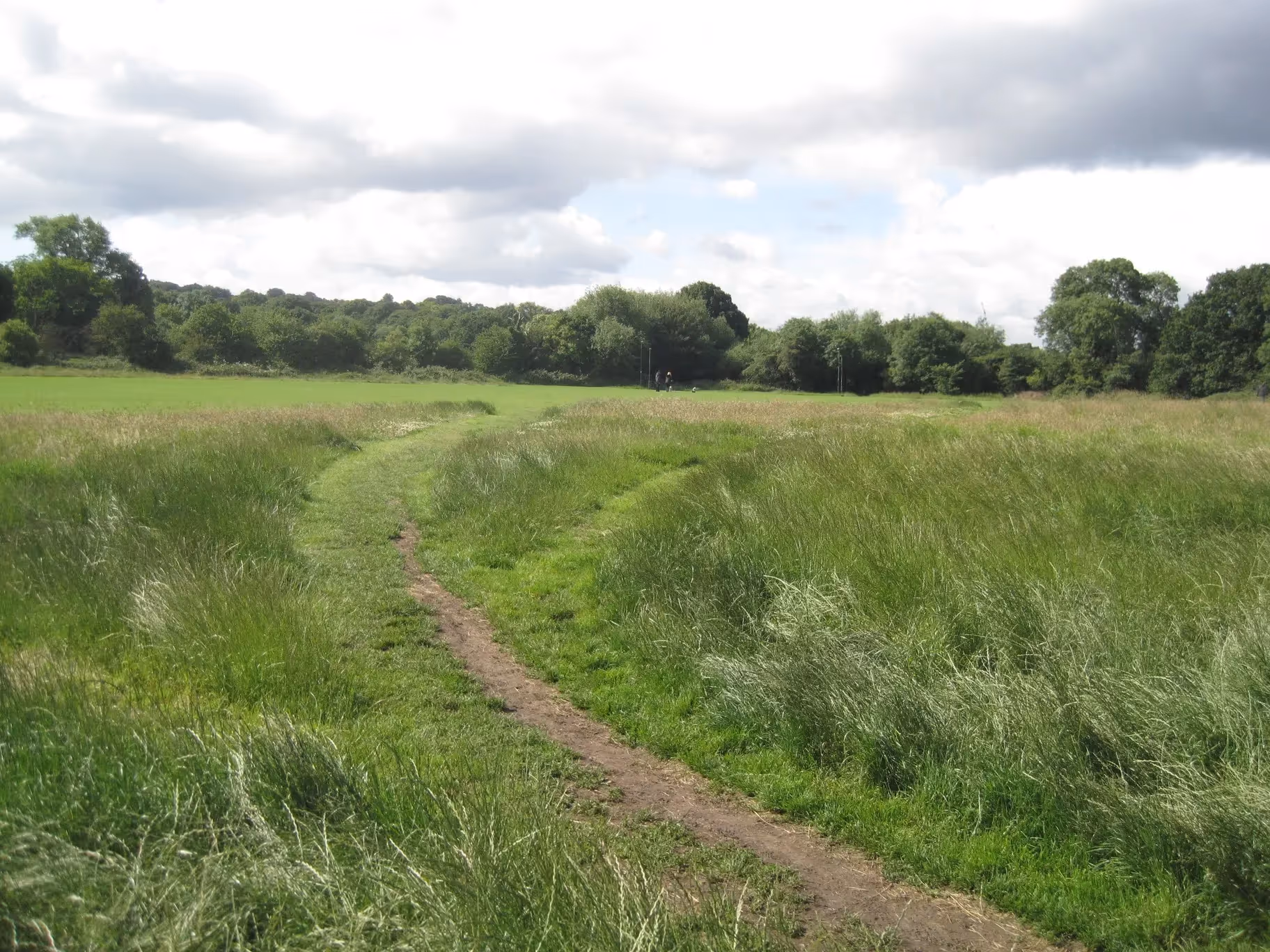Landscape view of Hampstead Heath Extension on an overcast day in London.