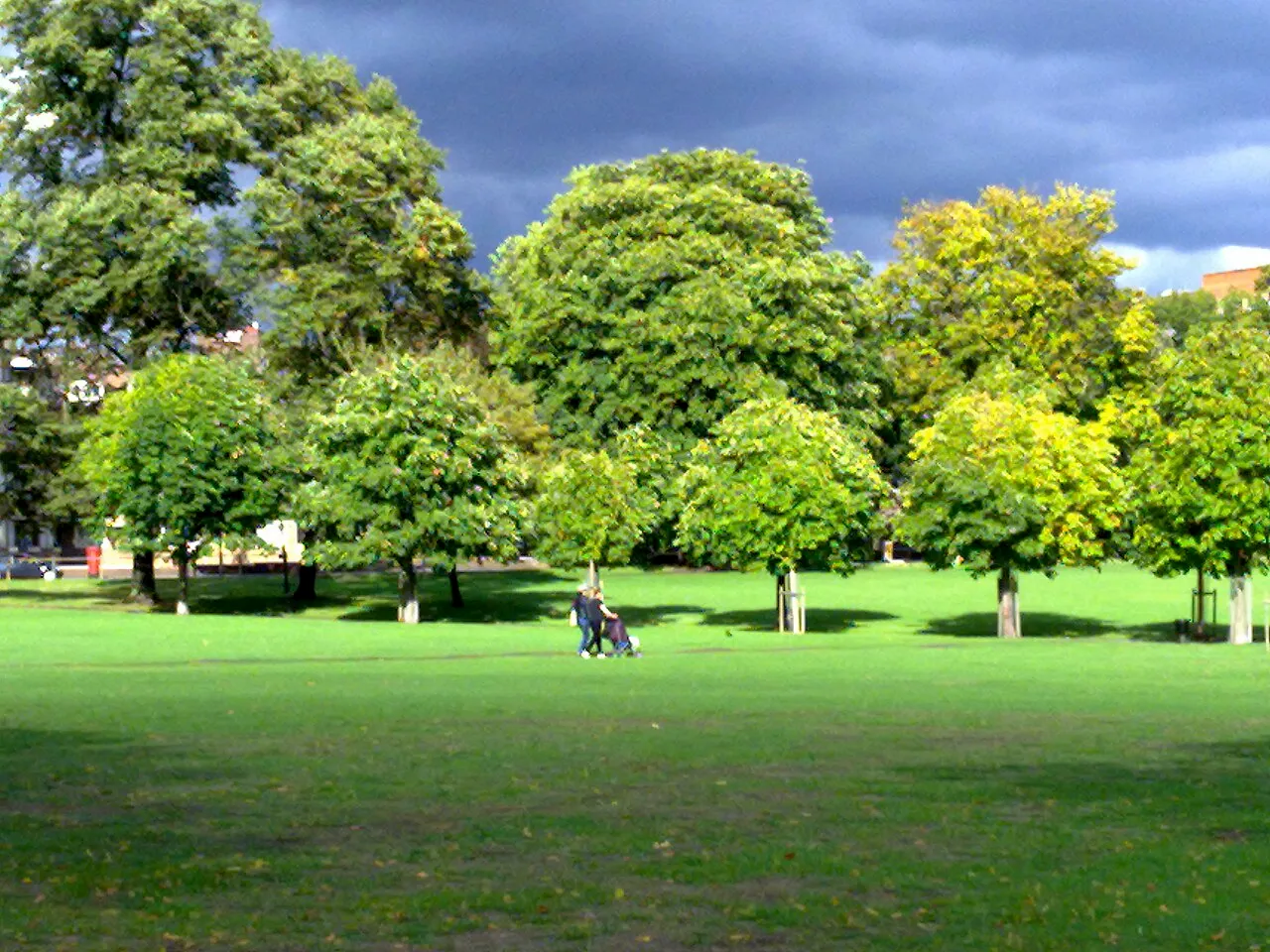 Large field in the autumn at Peckham Rye Park and Common.