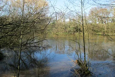 View of a lake at the London Loop in Totteridge N20.