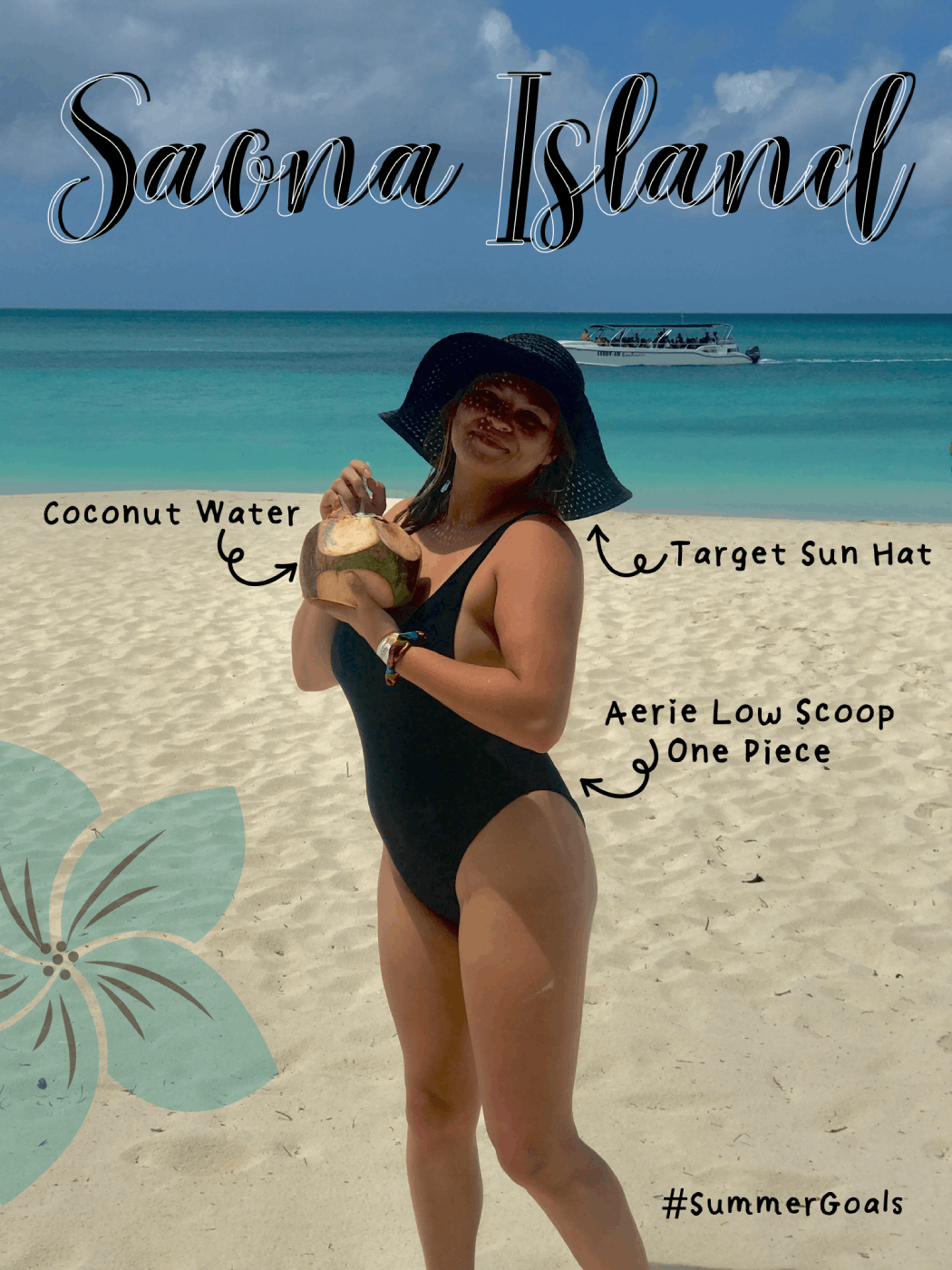 Saona Island graphic of miranda at the beach with product labels