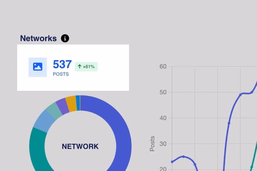 A cropped view of a Walls.io Networks panel shows 537 posts (up 61%) with a donut chart and the start of a posts-over-time line graph.