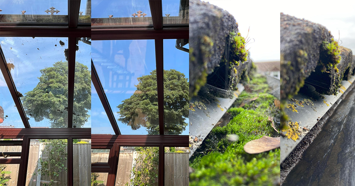 Before and after photos of a conservatory clean and a gutter clean