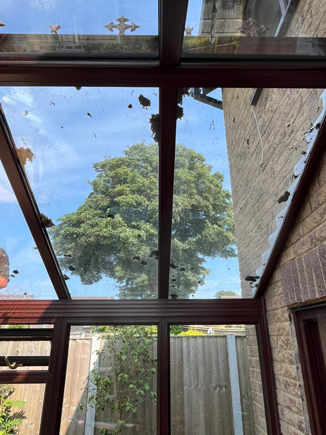 Photo of a dirty conservatory roof at a house in Shepton Mallet