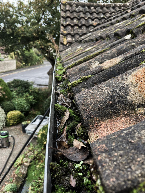 Photo of a dirty gutter on a house in Cheddar, Somerset before Window Genie's professional gutter cleaners cleaned it.