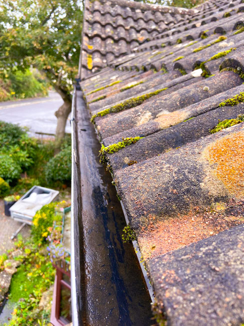 Photo of a clear gutter on a house in Cheddar, Somerset after Window Genie's professional gutter cleaners cleaned it.