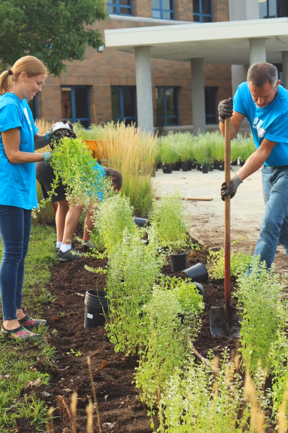 Photo of volunteers planting a garden