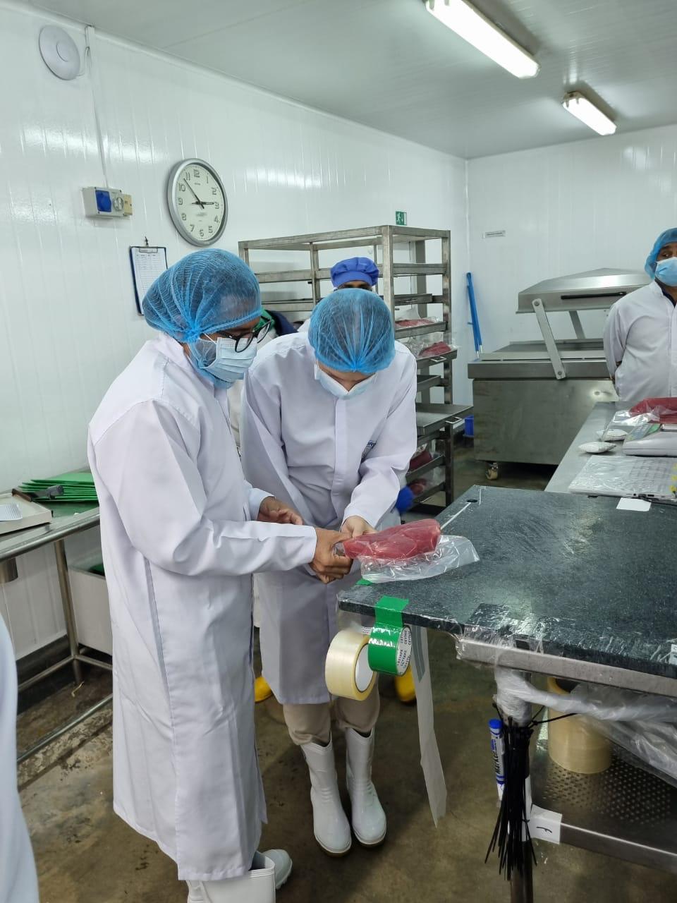 NSURE team members with resort staff, measuring fish packaging