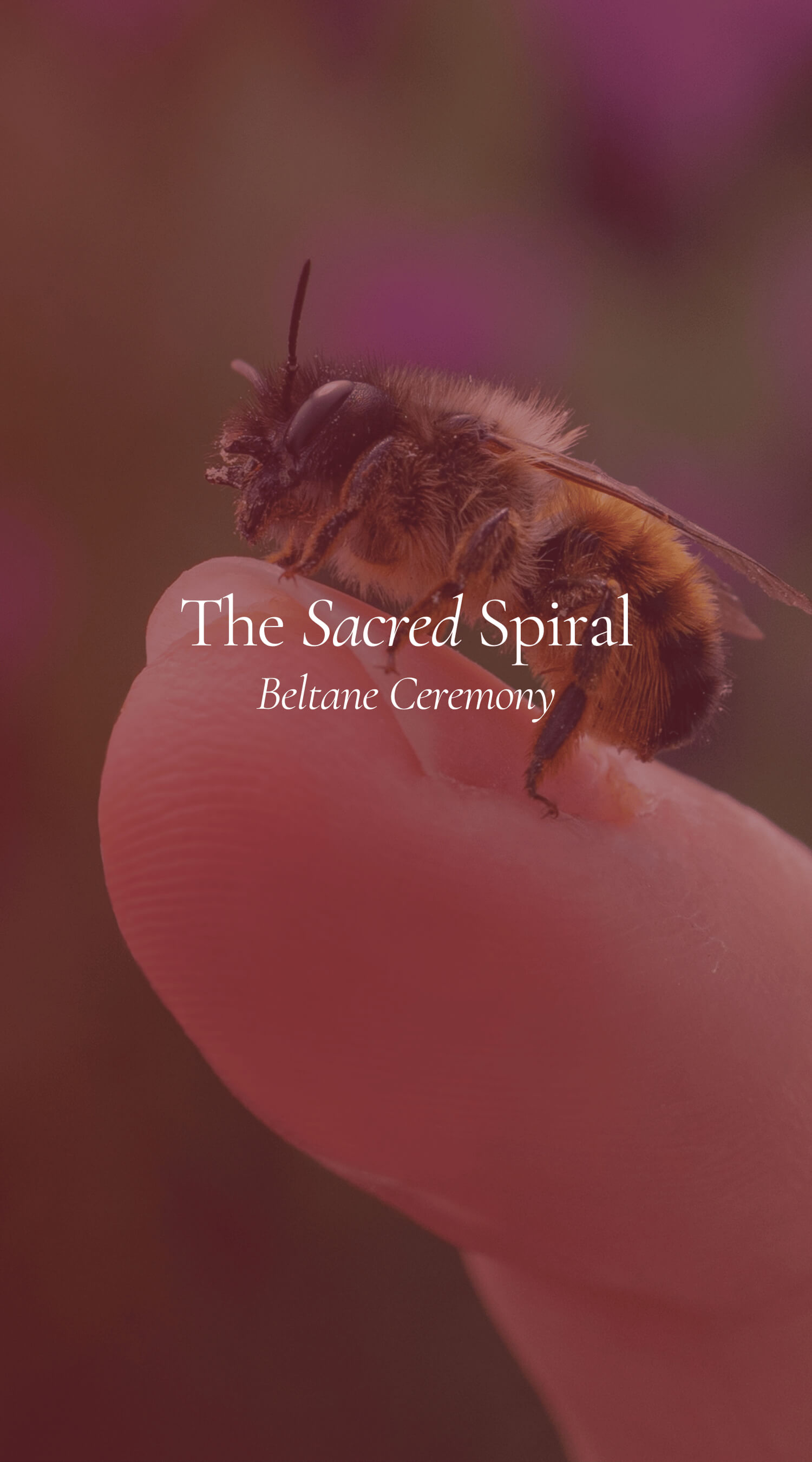 Sacred Spiral Beltane Ceremony