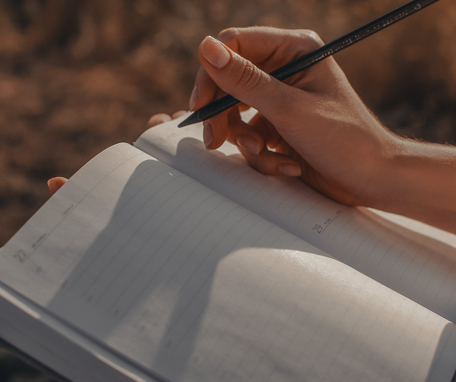 An open journal and notebook resting on mossy roots at the base of an ancient cedar tree during a contemplative nature walk.
